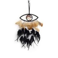 Fashion Dream Catcher, Feather, with leather cord & Plastic & Brass & Iron, Evil Eye, handmade, for home and office, black 