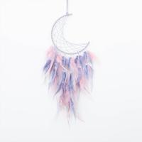 Fashion Dream Catcher, Feather, with leather cord & Plastic & Iron, Moon, handmade, for home and office mixed colors, 590mm 