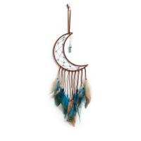 Fashion Dream Catcher, Feather, with leather cord & Wood & Plastic & Iron, handmade, for home and office 