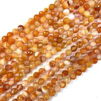 Natural Lace Agate Beads, Round, polished, DIY Approx 38 cm 