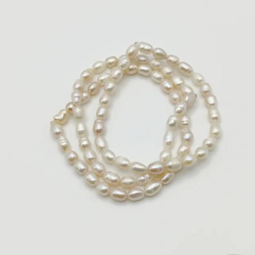 Cultured Freshwater Pearl Bracelets, fashion jewelry & for woman, white cm 