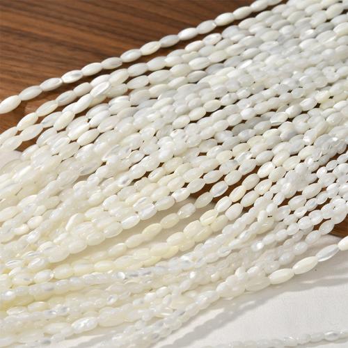 Turbanschnecken Perlen, oval, DIY & verschiedene Größen vorhanden, weiß, verkauft von Strang