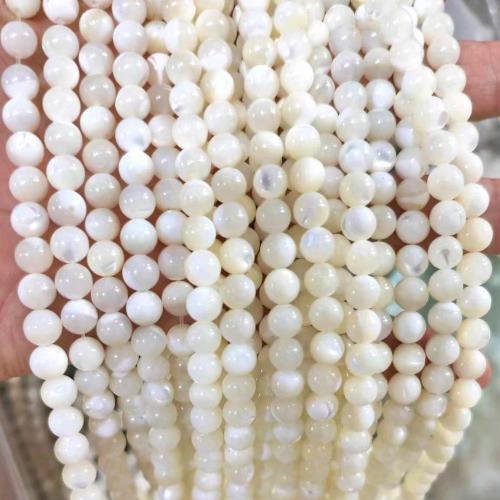 White Lip Shell Beads, Round, polished, DIY white Approx 38 cm 