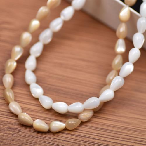Seashell Beads, Natural Seashell, Teardrop, DIY Approx 