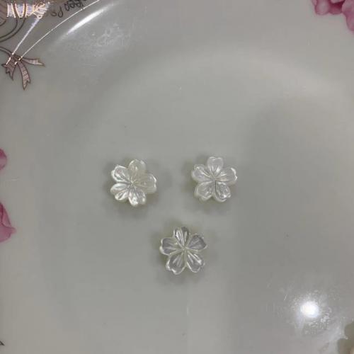 White Lip Shell Beads, Flower, DIY, white, 13mm 