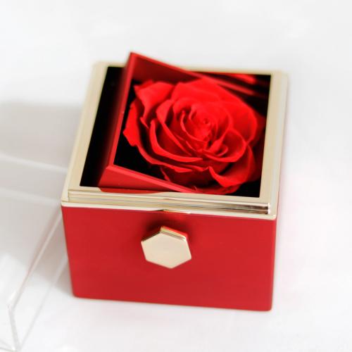 plastique Paquet cadeau, collier, avec papier, Rose, Paquet de boîte de cadeau & rotatif & multifonctionnel, plus de couleurs à choisir Vendu par fixé