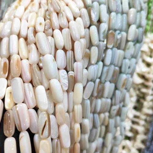 Natural Freshwater Shell Beads, polished, fashion jewelry & DIY Approx 38 cm 
