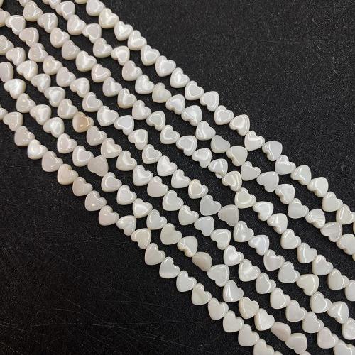 Natural Freshwater Shell Beads & DIY Approx 38 cm 