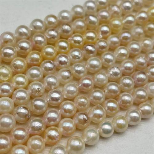 La Perla Cultivada de Akoya, Perlas Cultivadas de Akoya, Ligeramente redondo, Bricolaje, dorado, Pearl 6-7mm, longitud:aproximado 15 Inch, Vendido por Sarta