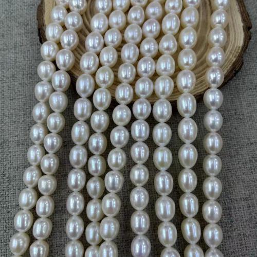 Rice Cultured Freshwater Pearl Beads, DIY, white, Length about 8-9mm, Approx 