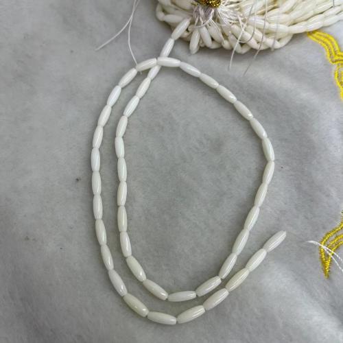 Natural Freshwater Shell Beads, Drum, DIY, white Approx 