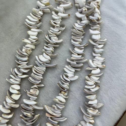 South Sea Shell Beads, Natural Seashell, DIY, white mm, Approx 