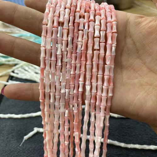 Trochus Beads, Bamboo, DIY Approx [