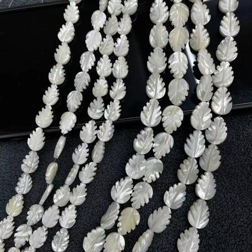 Trochus Beads, Leaf, fashion jewelry & DIY white Approx 38 cm 
