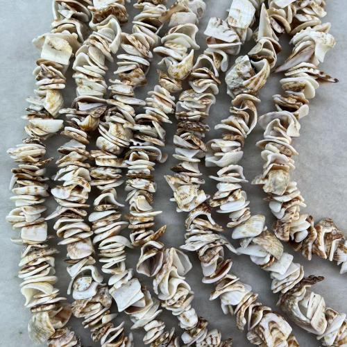 Perles de coquille de mer, coquillage, bijoux de mode & DIY, couleurs mélangées, Length about 12-16mm, Environ Vendu par brin