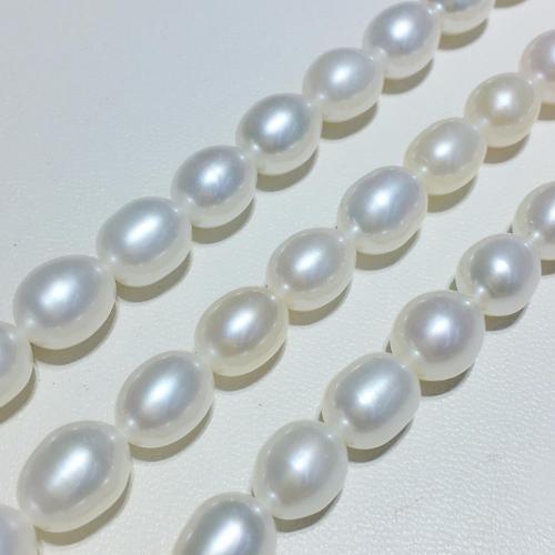 Rice Cultured Freshwater Pearl Beads, DIY, white, pearl Diameter  7.5-8.5mm Approx 38 cm [
