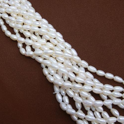 Rice Cultured Freshwater Pearl Beads, fashion jewelry & DIY, white, Length about 5-5.5mm Approx 38 cm 