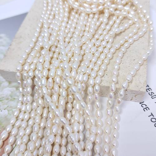 Rice Cultured Freshwater Pearl Beads, fashion jewelry & DIY, white, Length about 3.2-3.6mm Approx 38 cm 