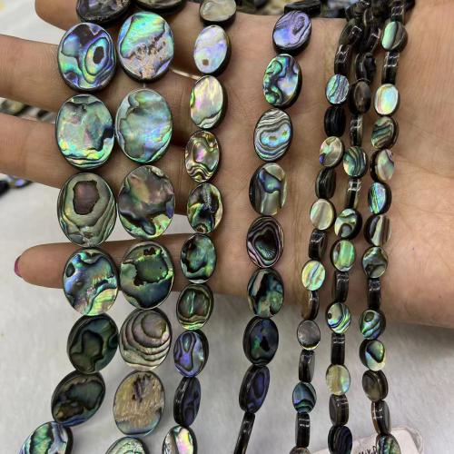 Abalone Shell Beads, Flat Oval, fashion jewelry & DIY multi-colored Approx 39 cm 