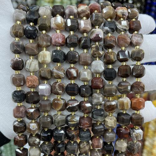 Petrified Wood Bead, Petrified Wood Palm Stone, Square, fashion jewelry & DIY & faceted, mixed colors Approx 38 cm 