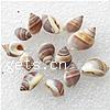 Trumpet Shell Beads, Helix, natural, no hole, 8-13mm 