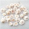 Perles en coquillage trompette, coquille de trompette, escargot, naturel, aucun trou, blanc, 10-17mm Environ 1mm, Vendu par kg
