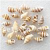 Trumpet Shell Beads, Helix, natural, no hole, 13-19mm Approx 1mm 