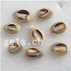 Trumpet Shell Beads, natural, no hole, 23-26mm 