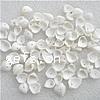 Trumpet Shell Beads, natural, no hole, white, 8-14mm Approx 1mm, Approx 