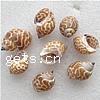 Trumpet Shell Beads, Helix, natural, no hole, 26-35mm, Approx 