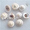 Perles en coquillage trompette, coquille de trompette, escargot, naturel, aucun trou, blanc, 18-20mm, Environ Vendu par kg