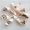 Trumpet Shell Beads, Helix, natural, no hole, 20-32mm Approx 1mm, Approx 