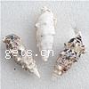 Perles en coquillage trompette, coquille de trompette, hélice, naturel, aucun trou, 50-53mm, Environ Vendu par kg