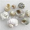 Trumpet Shell Beads, Helix, natural, no hole, 15-25mm 