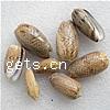Trumpet Shell Beads, natural, no hole, 26-35mm, Approx 