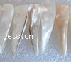 Natural Freshwater Shell Beads, Triangle Inch 