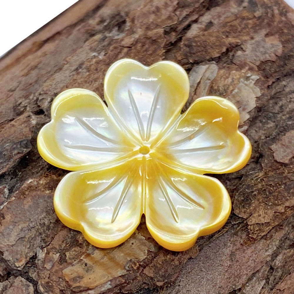 2 yellow shell
