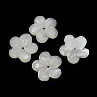 Perles de coquillages blancs