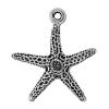 Zinc Alloy Star Pendant, Starfish, plated cadmium free Approx 3.5mm, Approx 