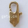 Brass Lobster Claw Clasp, Rectangle Approx 2mm 