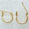 Messing Hoop Ohrringe, Kreisring, plattiert, keine, 12mm, 1000PCs/Tasche, verkauft von Tasche