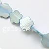 Natural Freshwater Shell Beads, Flower 15mm Approx 15 Inch 