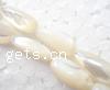 Perles de coquille de mer, coquillage, larme, naturel, 15mm pouce Vendu par brin