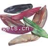 Natural Freshwater Shell Beads, Leaf, mixed colors, 43-46mm, 13-19mm, Approx 
