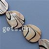 Painted Shell Beads, Teardrop, stripe Approx 1mm Approx 11 Inch, Approx 