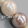 South Sea Shell Beads, Round mixed colors, nickel, lead & cadmium free, Grade A Approx 1mm Inch 