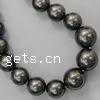 South Sea Shell Beads, Round nickel, lead & cadmium free, Grade A, 8-16mm Approx 1mm Inch 