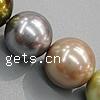 South Sea Shell Beads, Round mixed colors, lead free, Grade A Approx 1mm Inch 