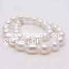 Freshwater Pearl Beads, Rice, natural, white, 11-12mm .5 Inch 