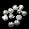 No Hole Cultured Freshwater Pearl Beads, natural, mixed, white, 2mm 